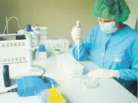 На разработку нового сердечного препарата у «Дальхимфарма» ушло семь лет