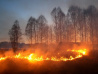 Лес горит в феврале
