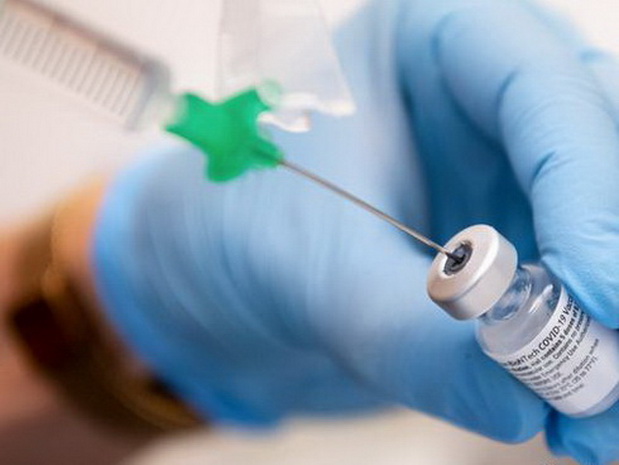 Привиться можно и в праздники