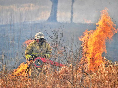 Нарушителей накажут штрафами