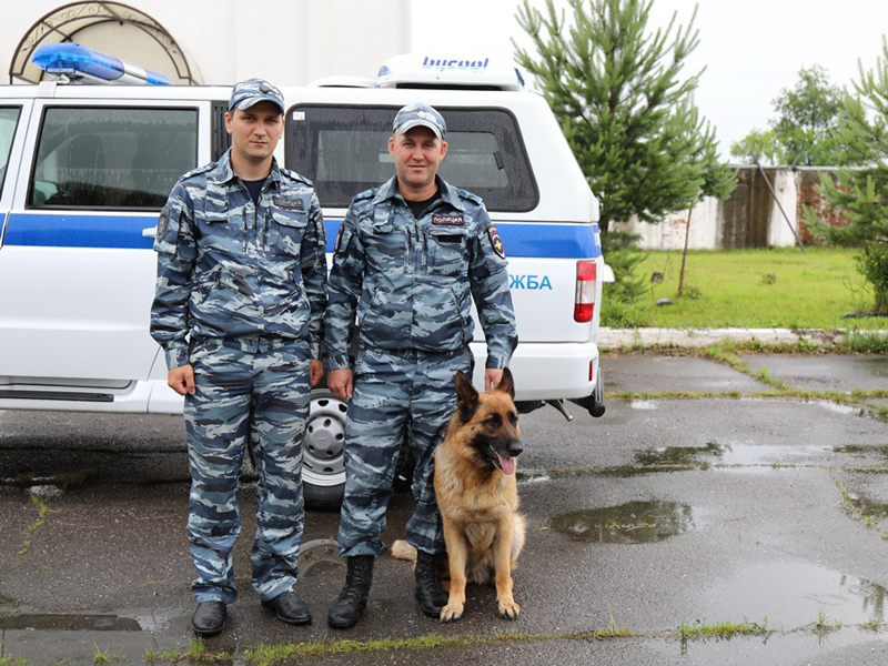 Одну собаку мотивирует похвала, другая лучше реагирует на лакомства