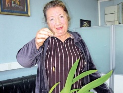 Погадаю я на гаечке