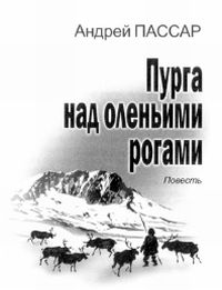 Пурга над островом