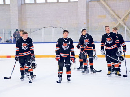 «Тигрята» в финале