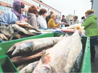 Прогноз не плохой, без доступной рыбы не будем