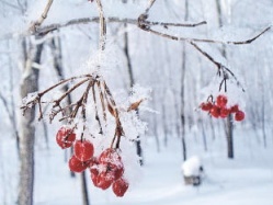 Весна! Укрепляем иммунитет