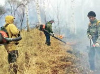 Сухая трава горит как порох