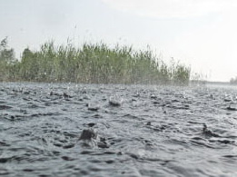 Дожди вызвали подъём уровней воды на ряде рек края