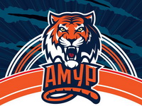 «Амур» готовится к чемпионату