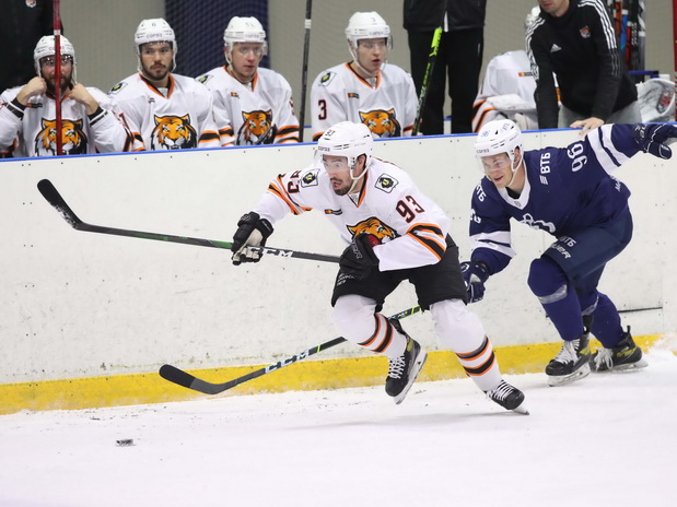 «Тигриная» охота в Москве