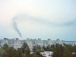 Чтобы у людей не выросли хвосты