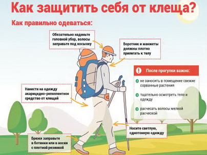 Клещи атакуют людей