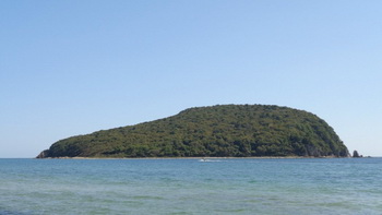 Робинзонада на … дальневосточном гектаре!