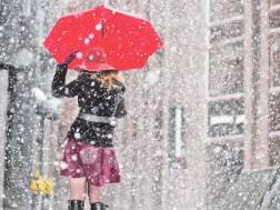 На Анну Холодную мороз зиму тёплую принёс