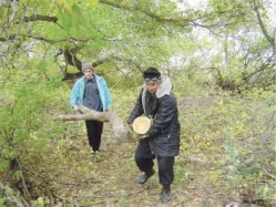 Хозяин, вам дрова не нужны?