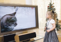 На карнавале знакомые все лица