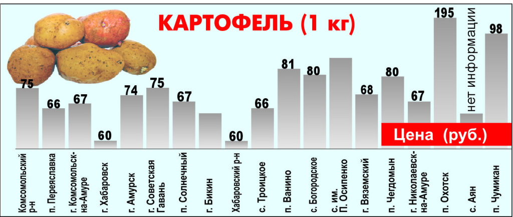 Картофель1.jpg