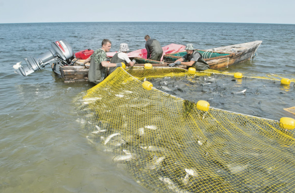 Снимок экрана 2026-07-10 092639.png