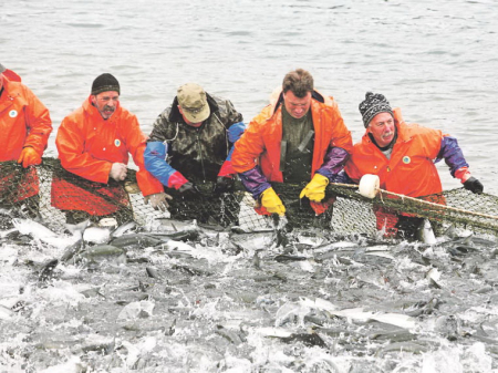 Лов запретить или ограничить?