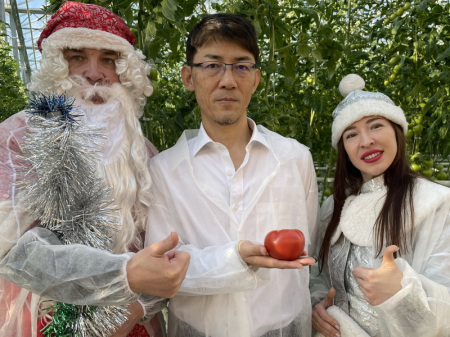 В японских теплицах созрел новогодний урожай