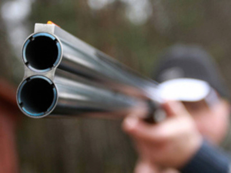 Шестьсот случаев браконьерской охоты за год