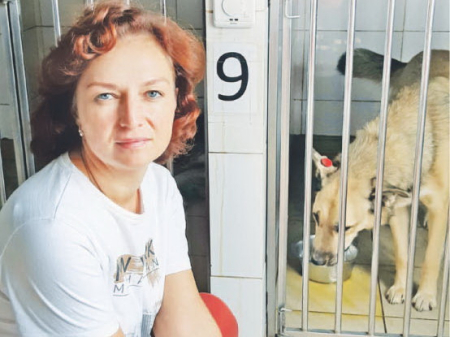 Не надо возвращать собак снова к детскому саду