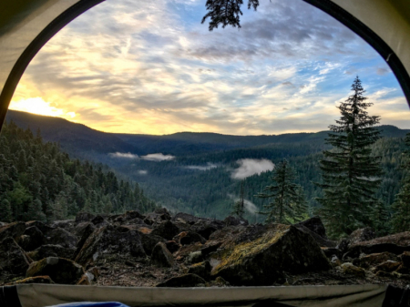 Интерактивное путешествие для взрослых и детей