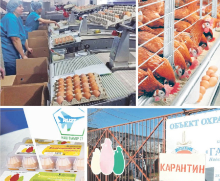 Птицефабрика закрыта на карантин в Комсомольске-на-Амуре