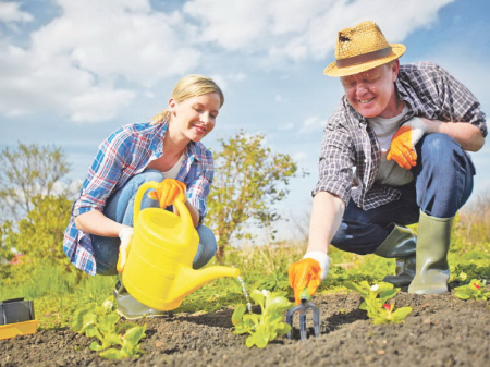 Если ботву ест коровка