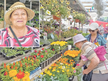 Страсти вокруг дачного рынка  на Химфармзаводе в Хабаровске