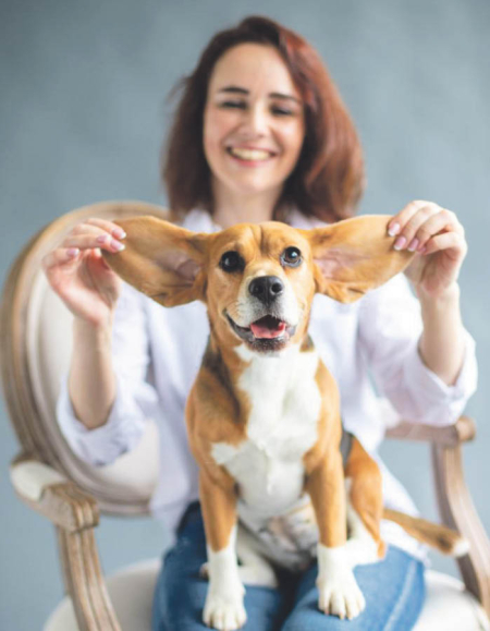 Как и почём стригут собак и кошек в Хабаровске?