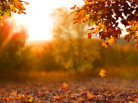 Пока ещё комфортно