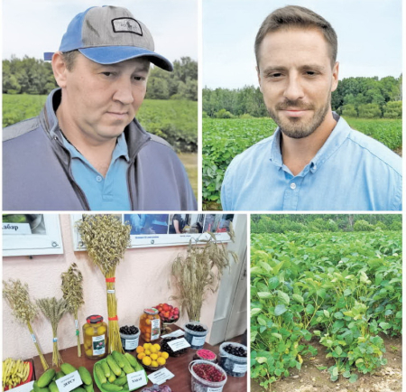 Фермеры  хабаровского  края  знают,  как  лечить  овощные  грядки