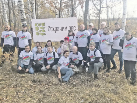 Посадил дерево - Новый год спас