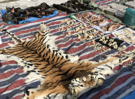 На Дальнем Востоке раскрыто преступное сообщество