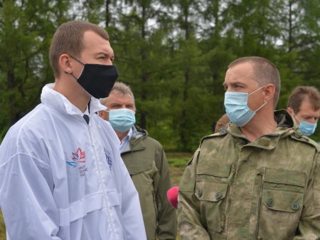 Для посадки в тайге в теплицах растут 20 миллионов саженцев