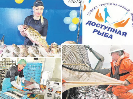 В крае лов идёт с прибавкой - ждите рыбу на прилавках