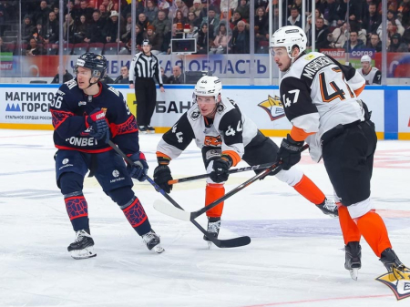 «Тигры» против лидера не устояли