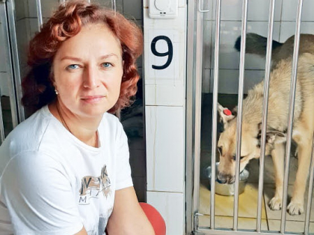 Новая жизнь неизвестного Шарика