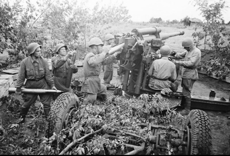 Ельнинская операция