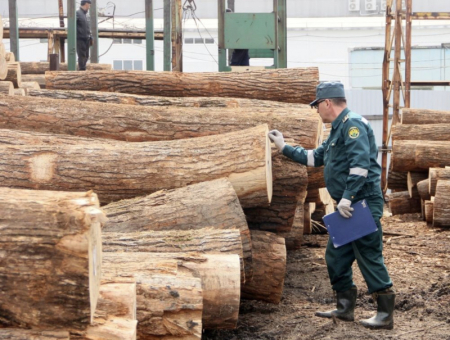 Хабаровская таможня увеличила перечисления в бюджет