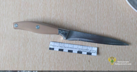 Жительницу села Маяк осудят за убийство сожителя во время ссоры