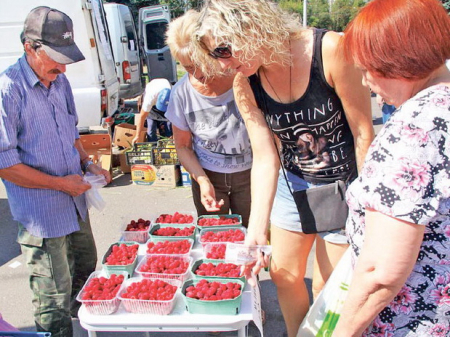 Не ошибитесь, покупая малину