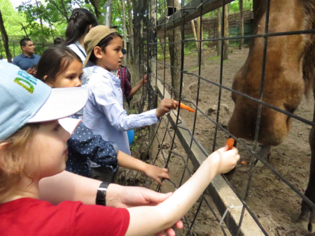 Планета исполненных желаний в зоосаде
