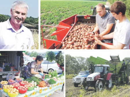 Местная картошка планирует вытеснить китайскую