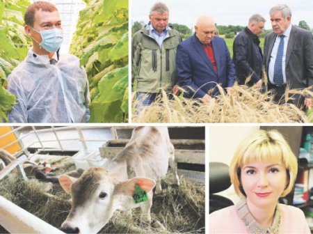 Фермерам Хабаровского края помогают встать на ноги