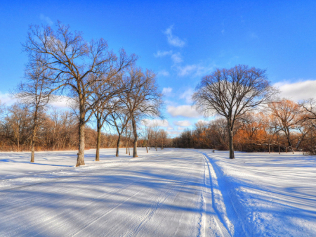 Ощущается приближение весны